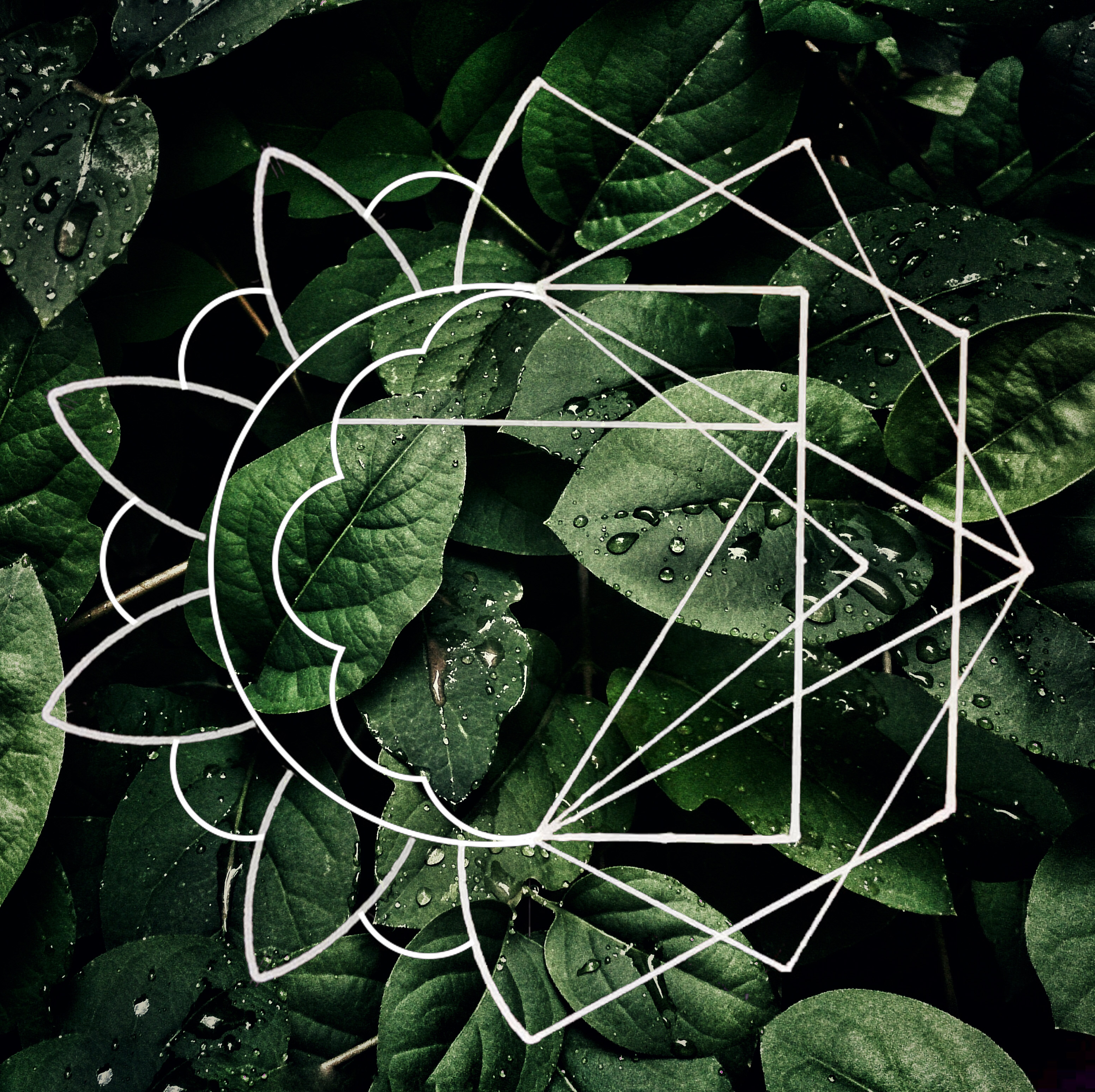 Metanoia Holistic Health